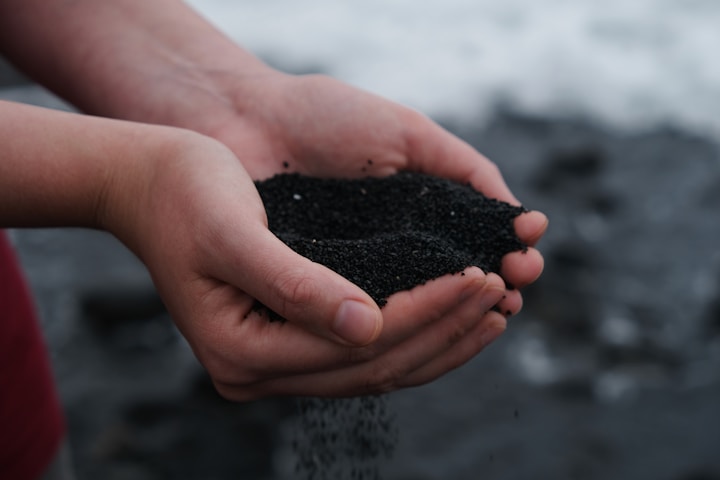 Rich dark compost soil — clean breakdown with no plastic residue