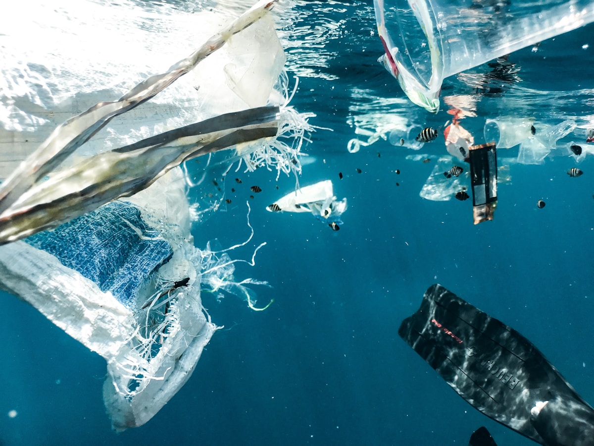Microplastics and plastic pollution in ocean water