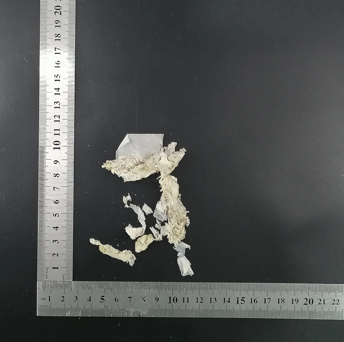 WK12 — Fragmenting stage of Earthya film decomposition