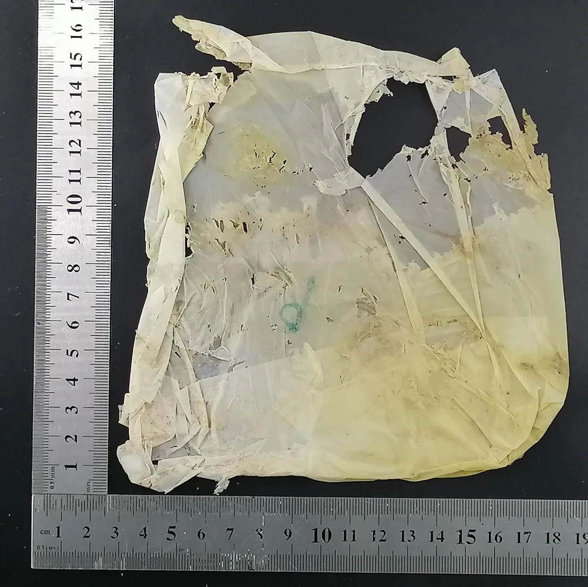 WK8 — Breaking down stage of Earthya film decomposition