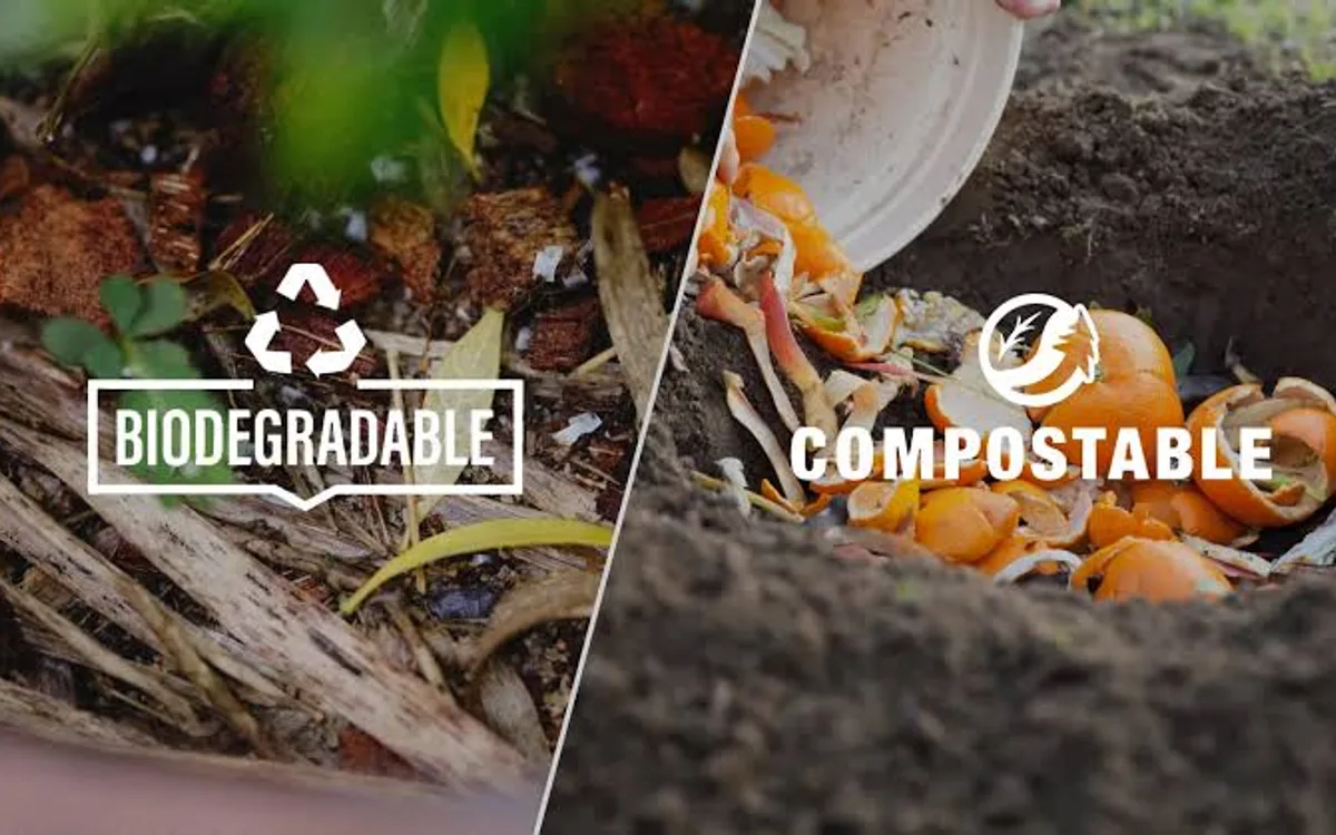 Split image contrasting biodegradable food scraps with compostable orange peels being composted