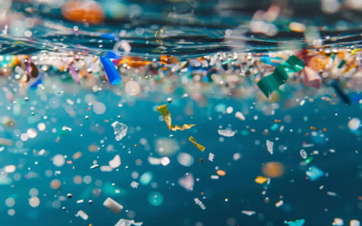 Microplastic fragments floating at the ocean surface