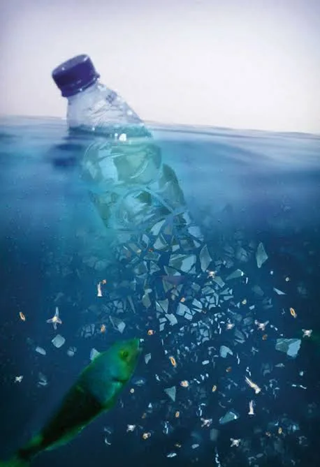 Plastic bottle breaking into microplastic fragments underwater near a fish