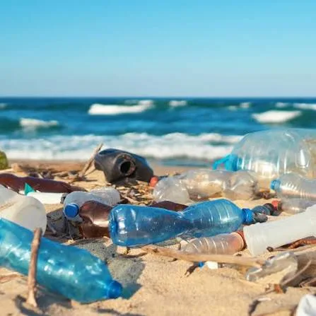 Plastic bottles washed up on a beach shoreline